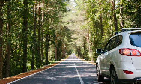 Car Rental Rotorua Airport NZ: Everything You Need to Know Before You Book